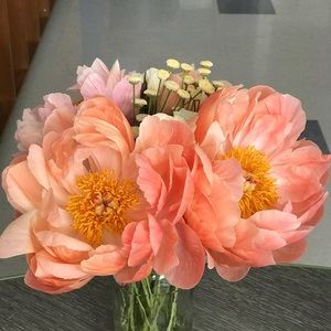 Meet your Posher, Kelli